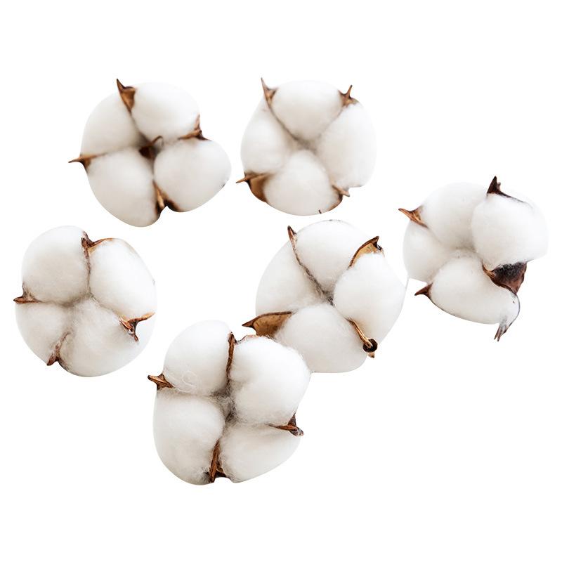 10 шт. Хлопковая головка Натуральный сушеный цветок Искусственный цветок Хлопок Домашний Рождественский декор DIY букет из сушеного хлопка цветочная композиция