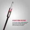 MONSTER CABLE Музыкальный инструментальный кабель Гитарный кабель Длина 21 фут Direct X Direct Plug M 600496 CLAS2-I-21 []