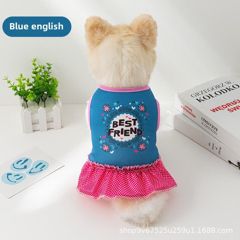 Autumn and Winter Dog Clothes Princess Xiaoxiangfeng Teddy Pet Skirt Autumn and Winter Dog Clothes Clothing