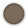 PanPastel оттенок Raw Umber 27803