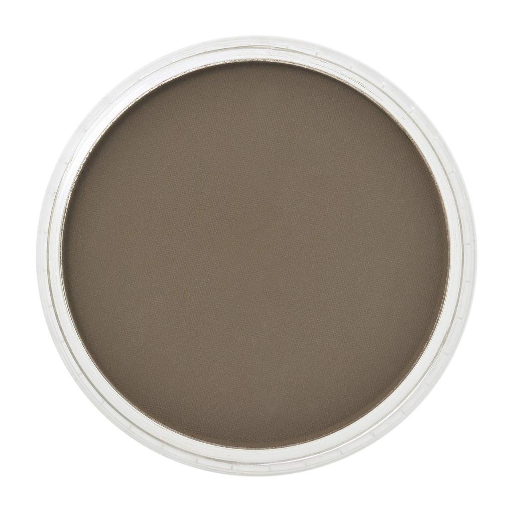 PanPastel оттенок Raw Umber 27803
