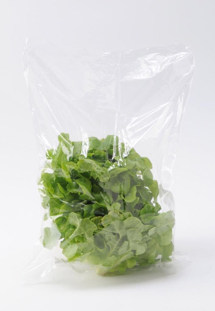 Japan Sanipak Kitchen Baking Storage Bag Extra Large 50 Pieces F-22