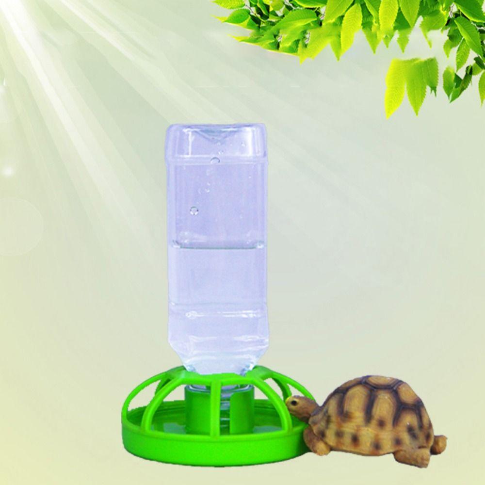 Accessories Turtle Food Container Lizard Food Bowel Reptile Feeder Tortoises Water Dispenser