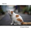 Sigma SIGMA Sigma Sony Lens 85mm DG DN Single Focus Telephoto Full Size Art Mirrorless Dedicated E-Mount F1.4