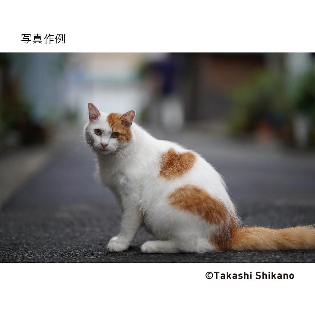 Sigma SIGMA Sigma Sony Lens 85mm DG DN Single Focus Telephoto Full Size Art Mirrorless Dedicated E-Mount F1.4