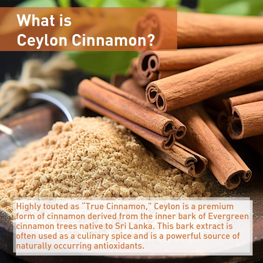 High Purity Cinnamon Capsules, 500mg Natural Cinnamon Extract, Nutritional Supplement