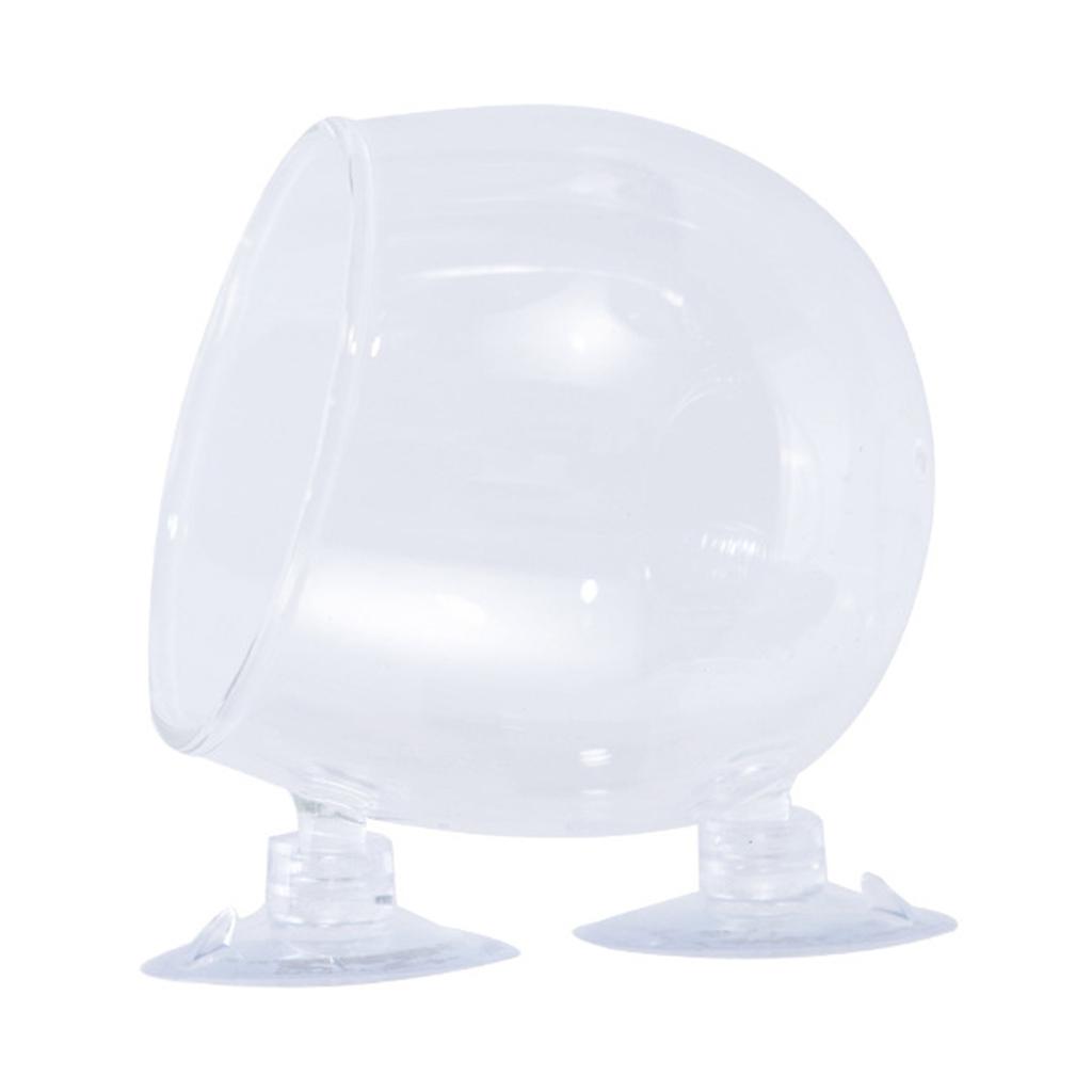 Aquarium Plant Cup Glass Plant Holder for Fishtanks with Suction Cups for Hydroponic Plants and Fishtanks Landscaping