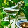 5 шт. Автоматическая луковица для полива растений, форма птицы для медленного высвобождения, уход за растениями во время отпуска с помощью простого вакуумного принципа