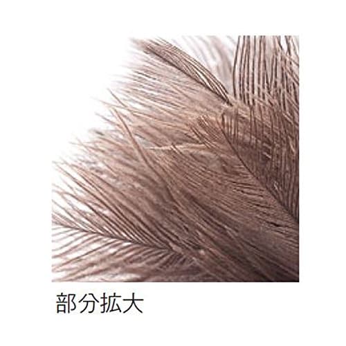 TERAMOTO MM Ostrich Feather Duster, Large, Brown, 9936g