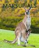Книга Marsupials Amazing Pictures Fun Facts Of Animals In Nature by Kay De Silva - Paperback
