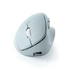 Sanwa Supply Quiet Bluetooth Small Ergonomic Mouse 5 (Rechargeable, Buttons, Blue) MA-EBBS522BL