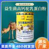 Probiotic Camel Milk Powder 320g High Calcium Protein Natural Energy Boost