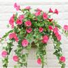 Vine Basket Hanging Home Decor Fake Morning Glory Artificial Plants Silk  flower Artificial Flowers