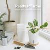 Горшки для самополива Растений Маленький Белый Горшок с Резервуаром Полупрозрачный Внутренний Горшок Хлопковый Фитиль Горшки для Черенков Фиалок Рассады