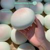 1 шт. Реалистичные моти Игрушки для снятия стресса Сенсорные декомпрессионные игрушки Липкие Медленно поднимающиеся Мягкие сжимаемые игрушки Для детей Взрослых Подарки