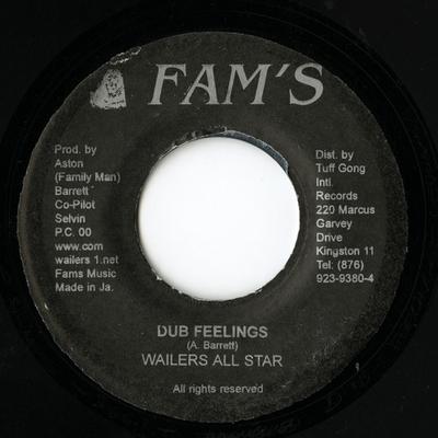 7-дюймовая пластинка WAILERS BAND Dub Feelings Trouble Dub NONE Fams Jamaica Reggae Ska Dub Б/у