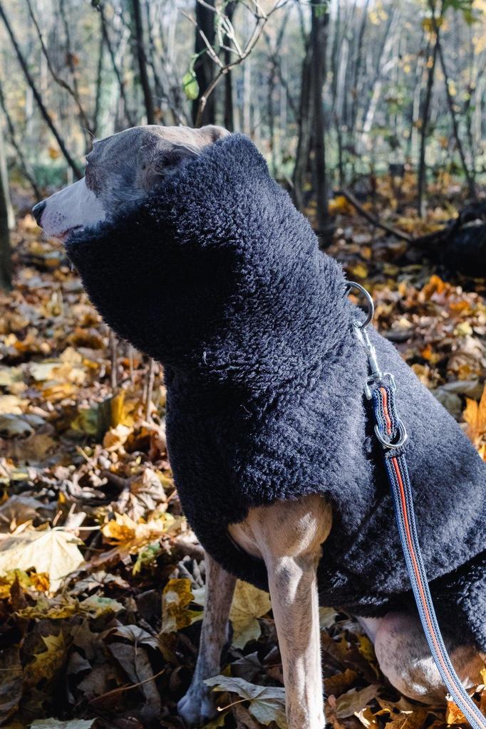 Woolen Dog Vest - Charcoal 7