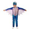 Childrens/Kids Nadder Costume Set