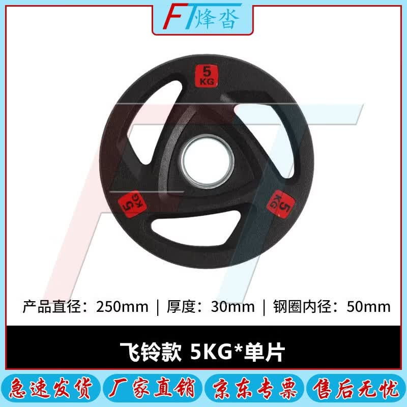 Fengta Rubberized Cast Iron Barbell Weight Plates with 5cm Hole
