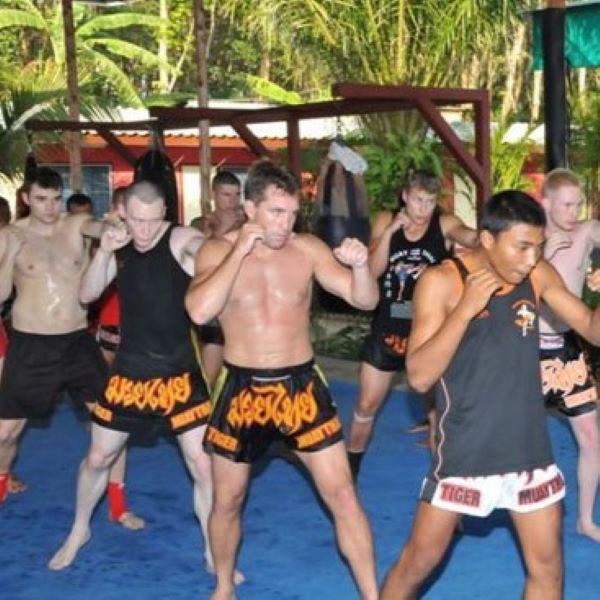 Мужские быстросохнущие боксерские шорты, «Тигр и лев», шорты ММА, штаны для кикбоксинга, гимнастические единоборства, бокс муай-тай