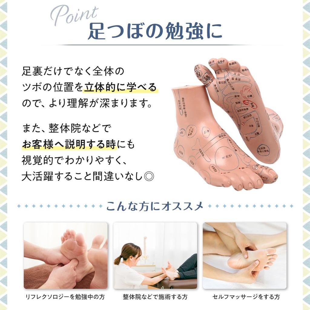 Easy To Memorize Foot Pressure Point Model Foot Pressure Point Massage Sole Diagram Foot Pressure Point Reflex Area 20cm Acupuncture Chiropractic