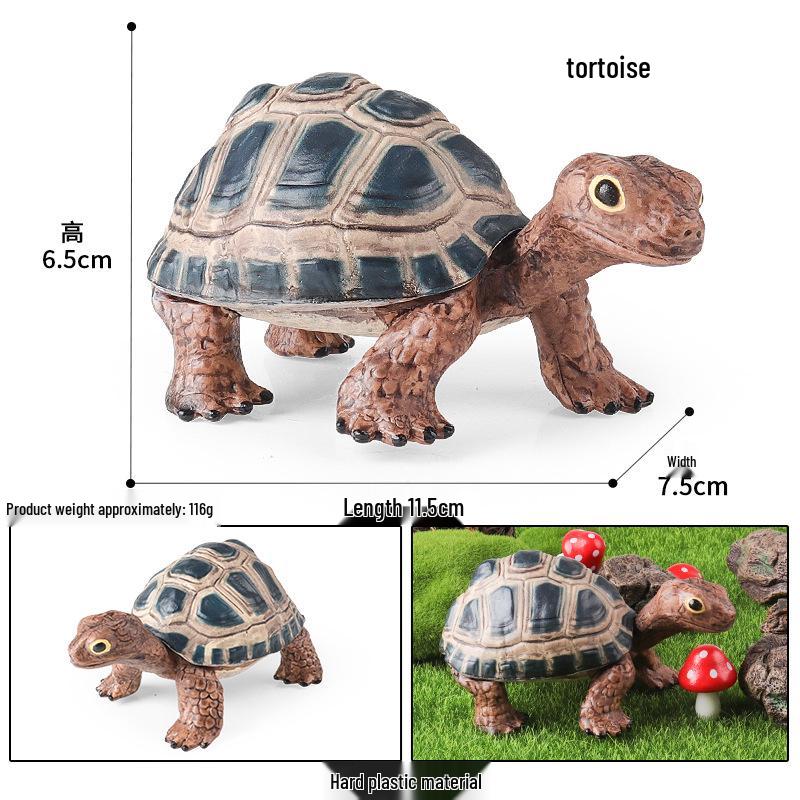 Children's Cognitive Marine Animal Models: Sea Turtle and Tortoise Toys
