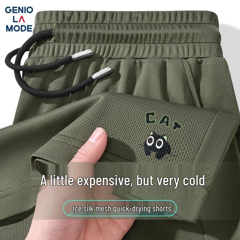 GENIOLAMODE Men's Quick-Dry Mesh Casual Shorts