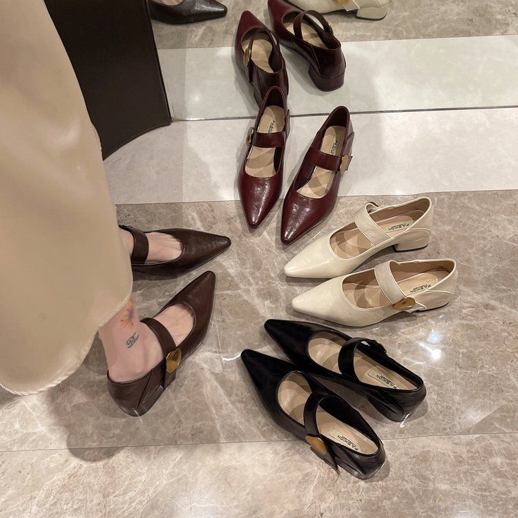 Туфли-лодочки с острым носом и неглубоким вырезом, женские, на среднем каблуке, новые весенне-осенние 2025 года, с французским темпераментом, на толстом каблуке, туфли Мэри Джейн в стиле ретро, маленькие ле