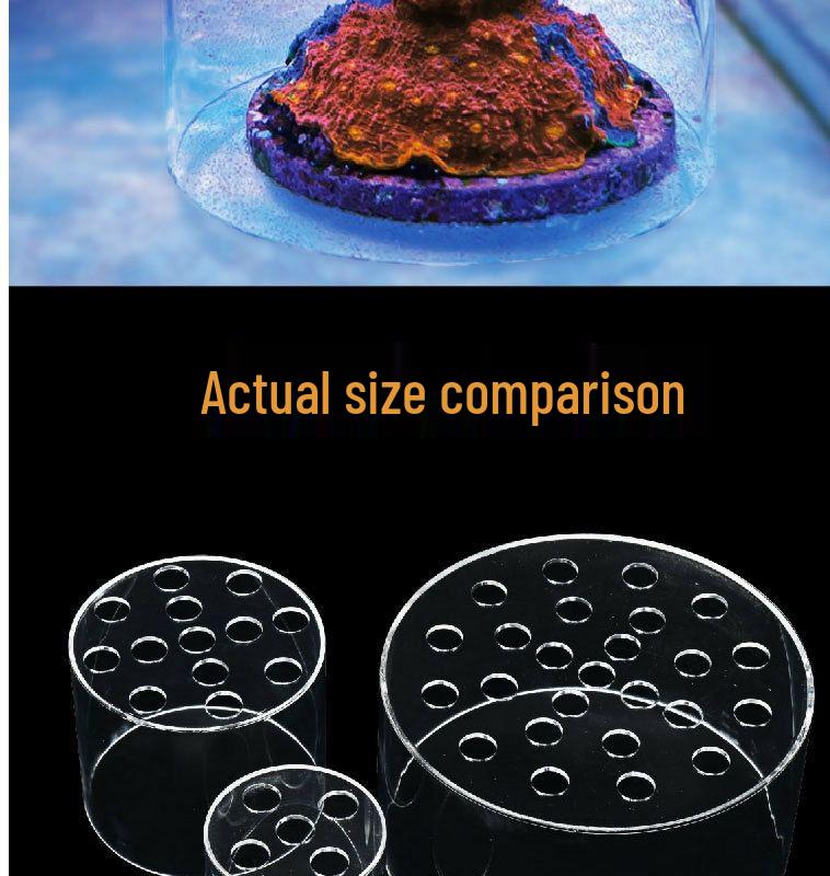 VASTOCEAN Acrylic Coral Feeding and Breeding Protection Disc for Firecracker Brain Coral, Anti-Stealing Food Cover