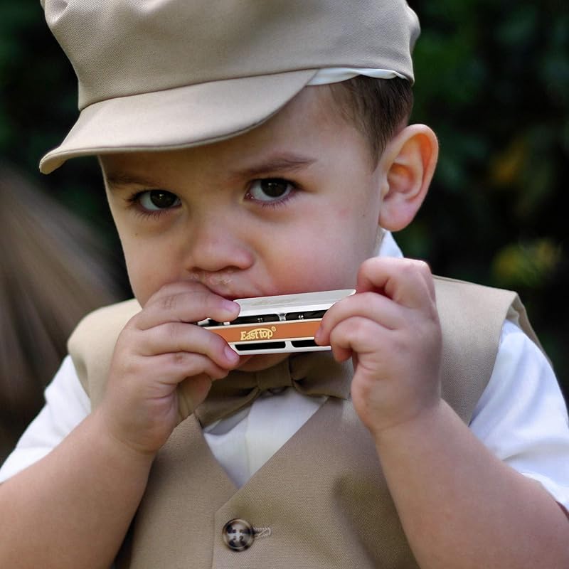 East Top Harmonica Blues Harmonica 10 Hole Harmonica G Key 10 Holes 20 Tones Brass Cover Canvas Case Clean Cloth Expert Diatonic Harmonica