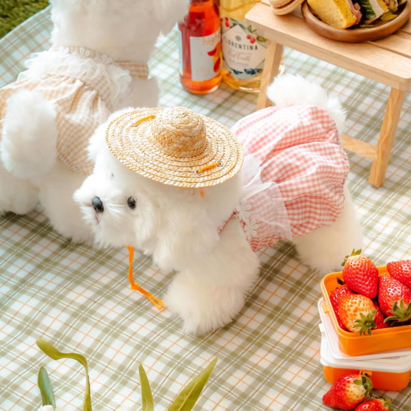 [Питомец] Прекрасный цельный L