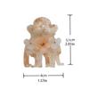 Crystal Flower Hair Clip Acetic Acid Zircon Hairgrip Elegant Small Acetate Hair Claw  Party