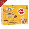 PEDIGREE - Junior - 48 Sachets Fraîcheur En Gelée - 4 Variétés Pour Chiot - 100g (4x12)