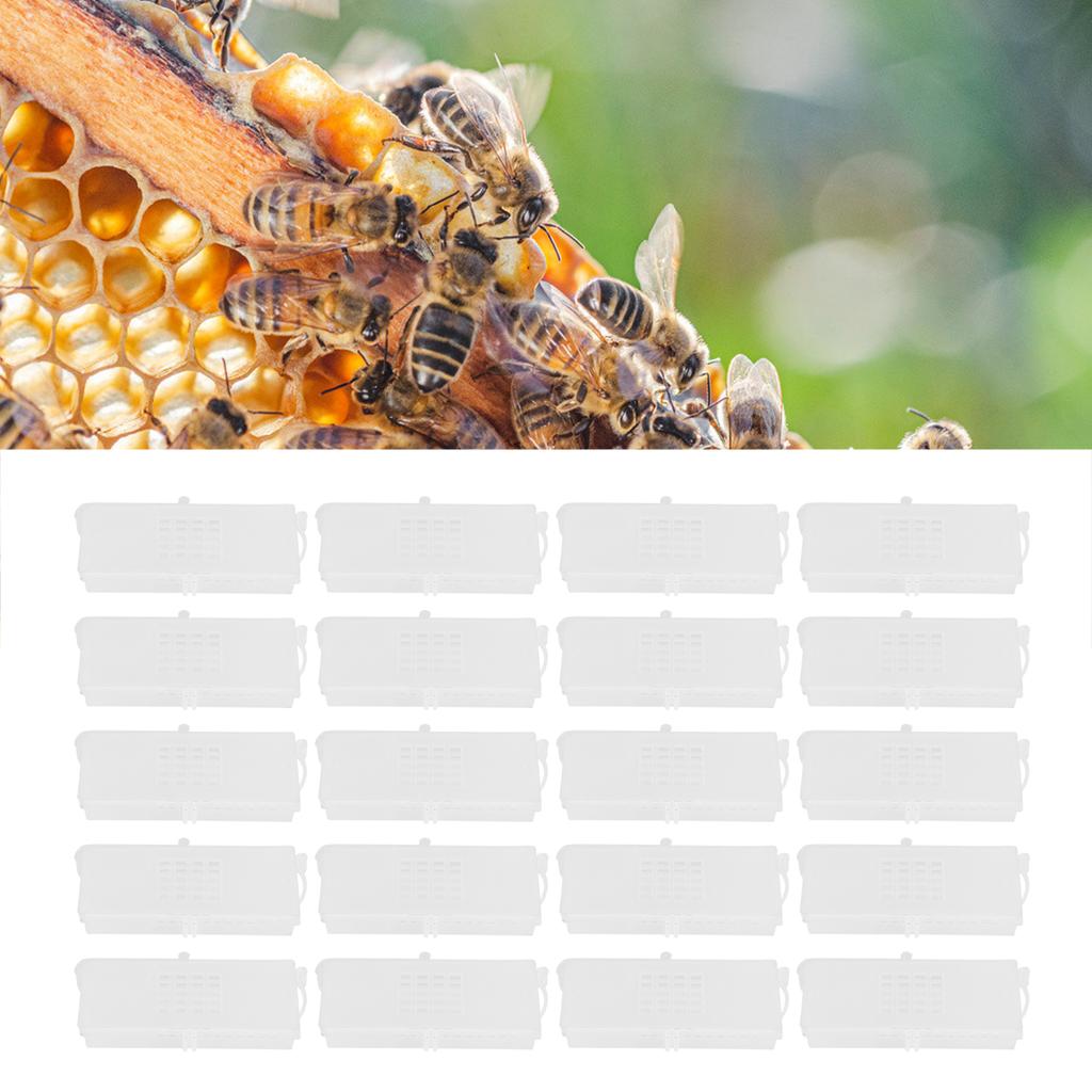 20 шт. Транспортные клетки для пчелиных маток, прозрачный ящик для отлова, инструмент для пчеловода, пчеловодческое оборудование