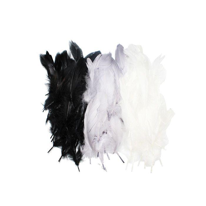 Plumes d'oie naturel 14/17 cm 20g