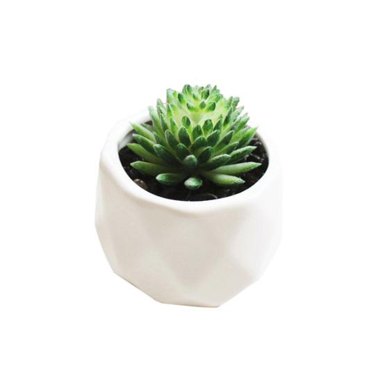 1шт искусственный цветок суккулентное растение бонсай DIY сад офис домашний декор партии