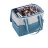 Coleman Daily Cooler 10L Ideal for club and Features antibacterial compact and includes an / - camping, picnics, activities, shopping. properties,