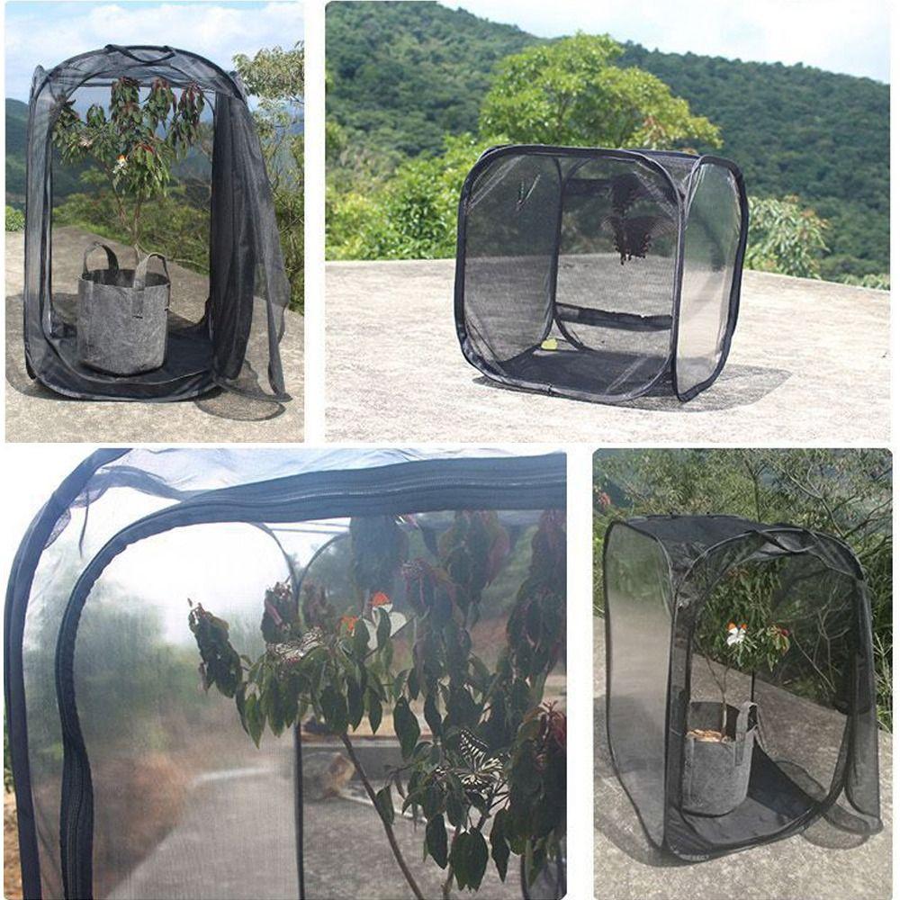 Collapsible Butterfly Habitat Pop-up Protection Net New Butterfly Terrarium