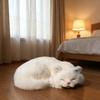 Реалистичный плюшевый рюкзак в виде кошки породы рэгдолл - Живая мягкая игрушка, которую можно носить или обнимать, Успокаивающая игрушка-подарок для девочек