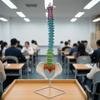 Модель позвоночника с тазом Устойчивая подставка Долговечная для классной комнаты