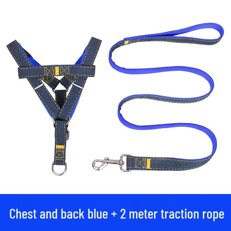 Multi-Size Dog Leash & Collar Set for Walking - Suitable for Small To Large Breeds