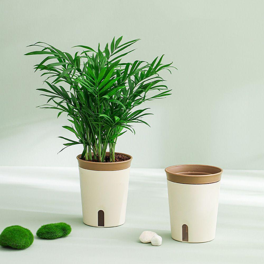 Офисный декор Гидропонный самовпитывающийся горшок для растений Самополивающийся кашпо Контейнер для растений Цветочный горшок