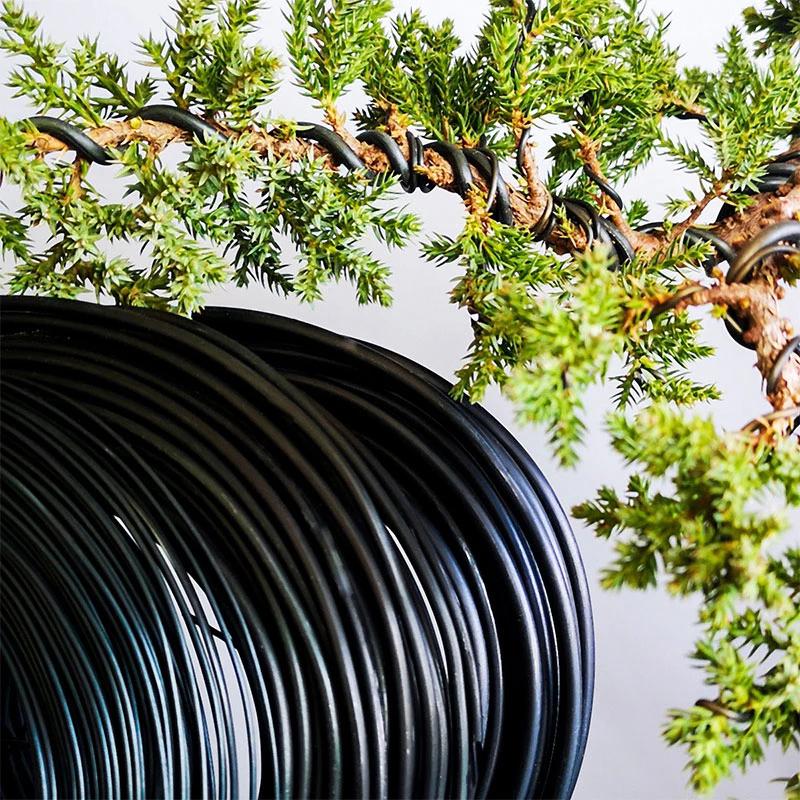 Total 5m For Plant Shapes Black Bonsai Wire Bonsai Training Wire Anodized Aluminum 6 Sizes