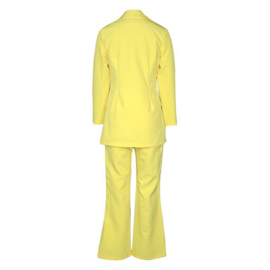 Женский костюм, комплект плюс размер, сексуальный комплект из двух предметов с длинными рукавами и пуговицами на лацканах, офисный женский пиджак, брюки