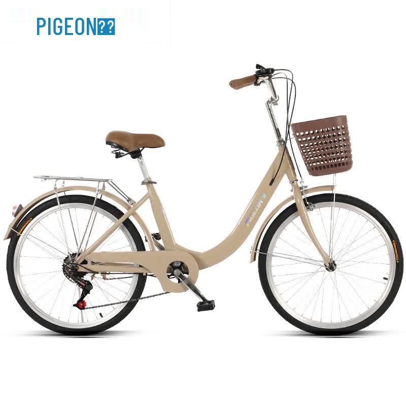 FG Flying Pigeon Commuter Bicycle