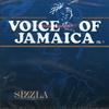 CD SIZZLA - Voice Of Jamaica Volume 1 JAMCD90006 Jam 2003 US Reggae, Ska & Dub