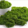 100G Realistic Artificial Moss For Diy Crafts & Home Decor Perfect For Indoor Landscapes & Wedding Decorations