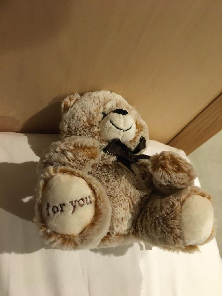 [USED] Teddy bear