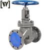 Carbon Steel Flanged Globe Valve