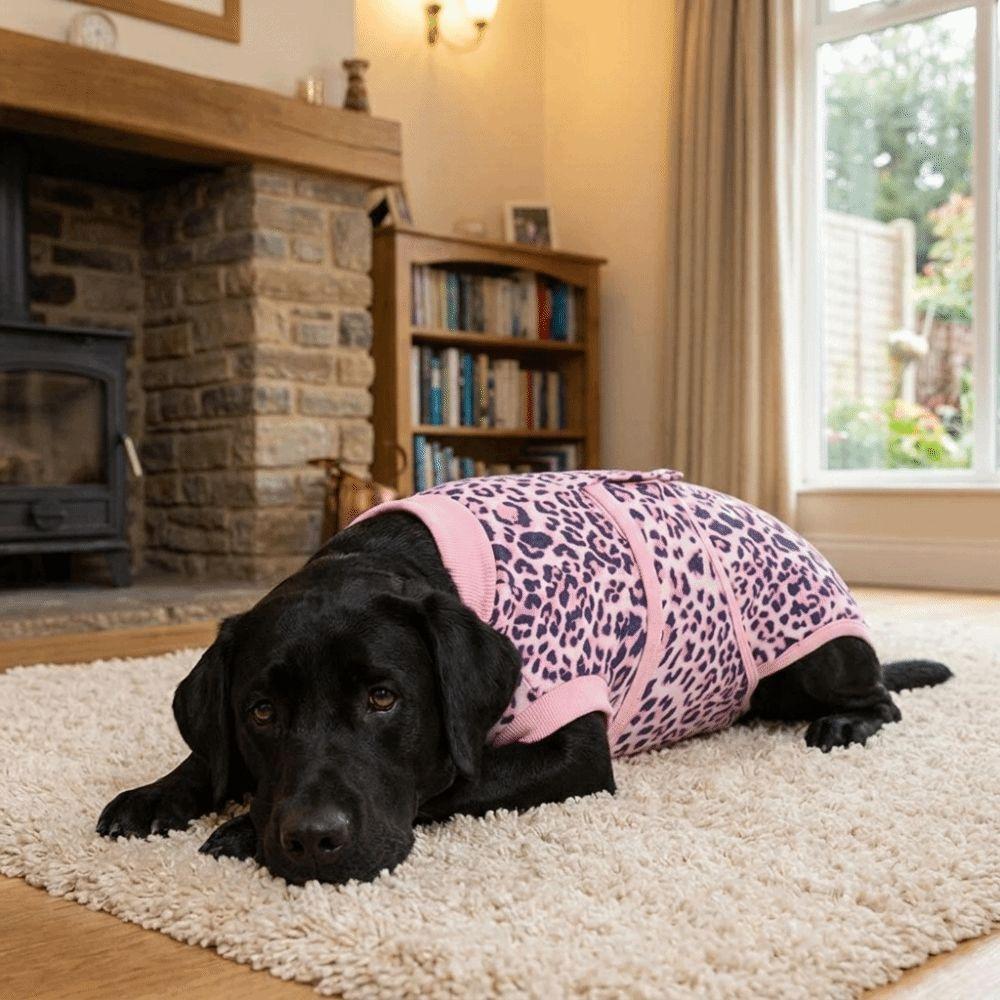 Elastic Dog Recovery Suit Breathable Dog Physiological Pants Dog Sterilization Suit  Pet Care